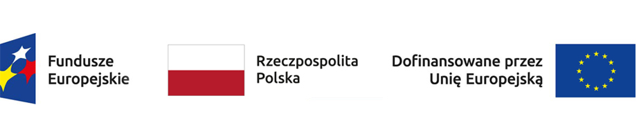 Fundusze Europejskie – Dofinansowane przez Unię Europejską